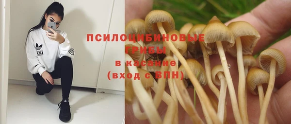 амф Балахна