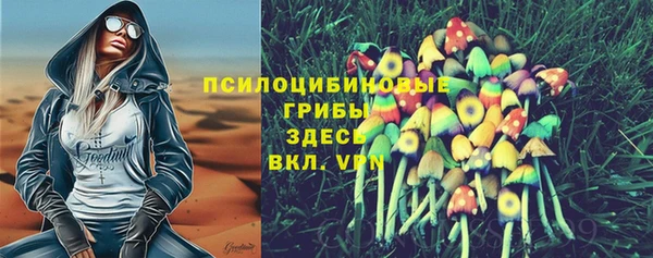 амф Балахна