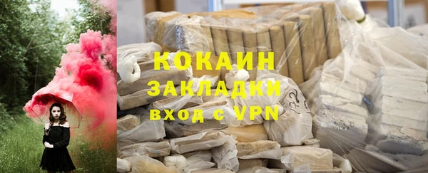 хмурый Белокуриха