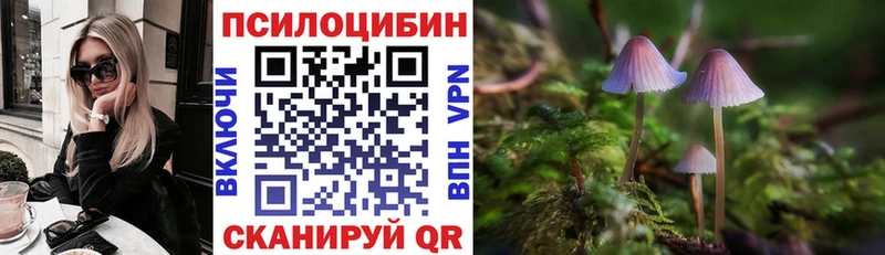 Псилоцибиновые грибы ЛСД Свободный